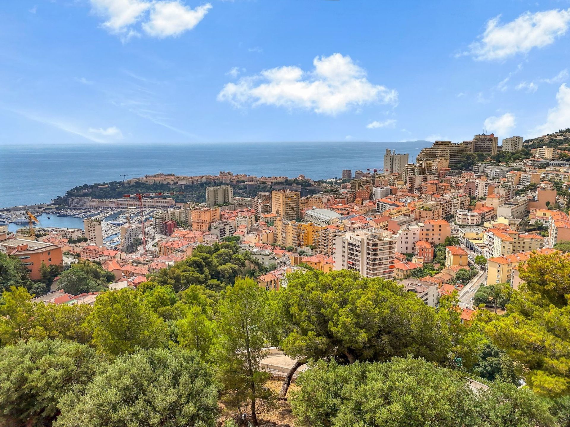Vente Terrain Beausoleil 4460 m² — photo 1