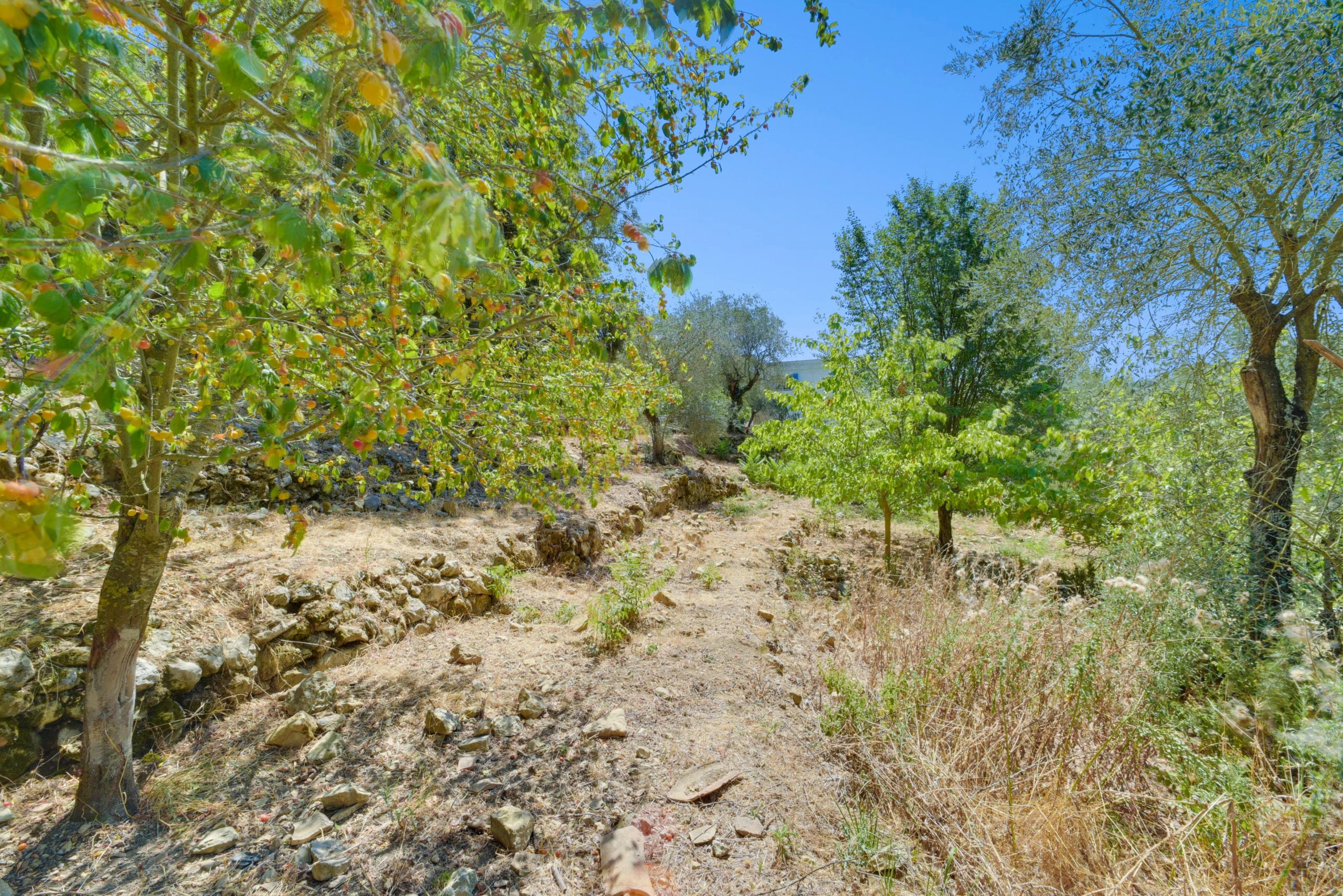 Achat Villa La Turbie Beau potentiel — photo 2