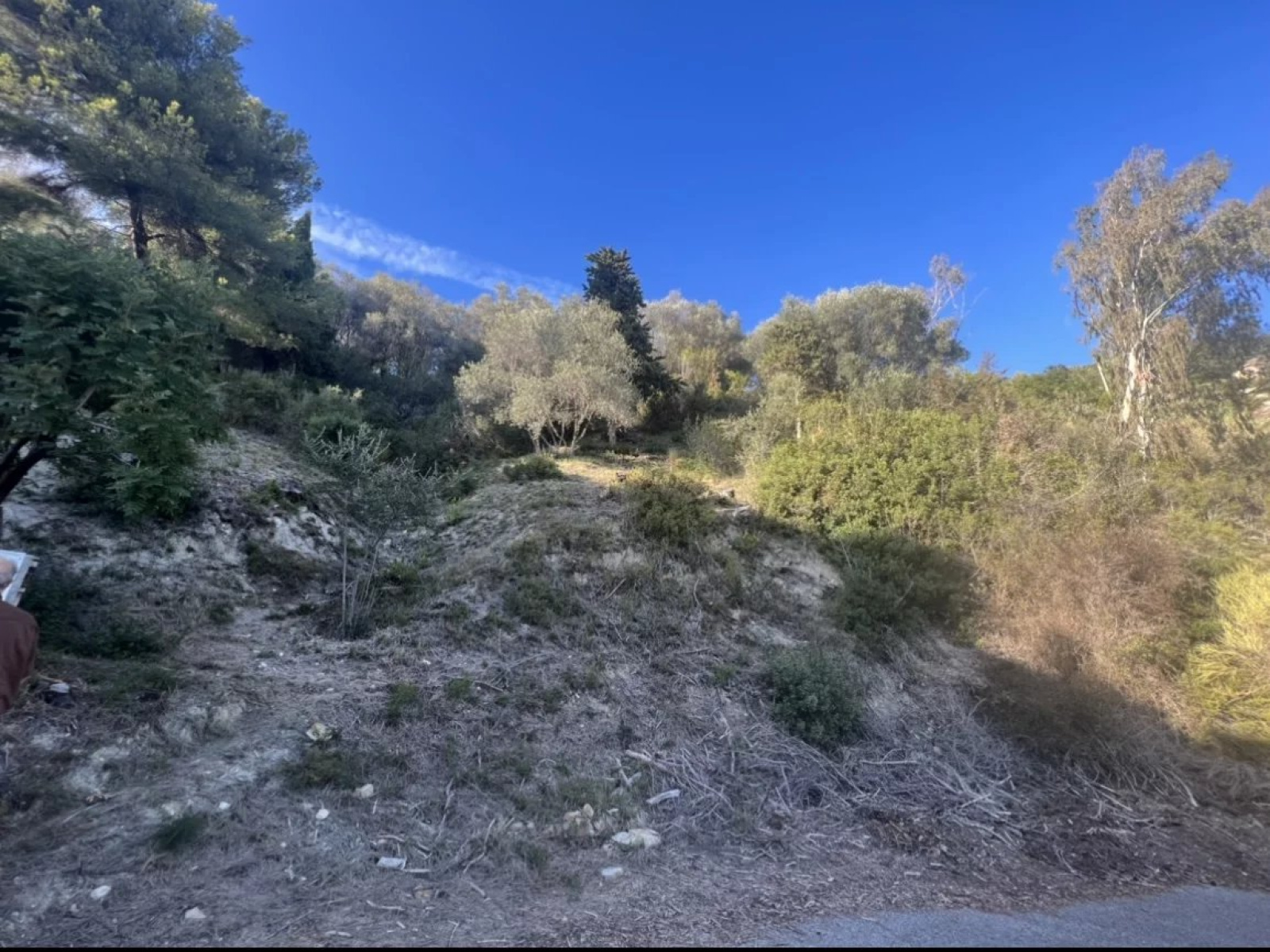 RARE- TERRAIN CONSTRUCTIBLE MENTON GARAVAN-VUE PANORAMIQUE MER- Permis construire accordé Maison- — photo 4