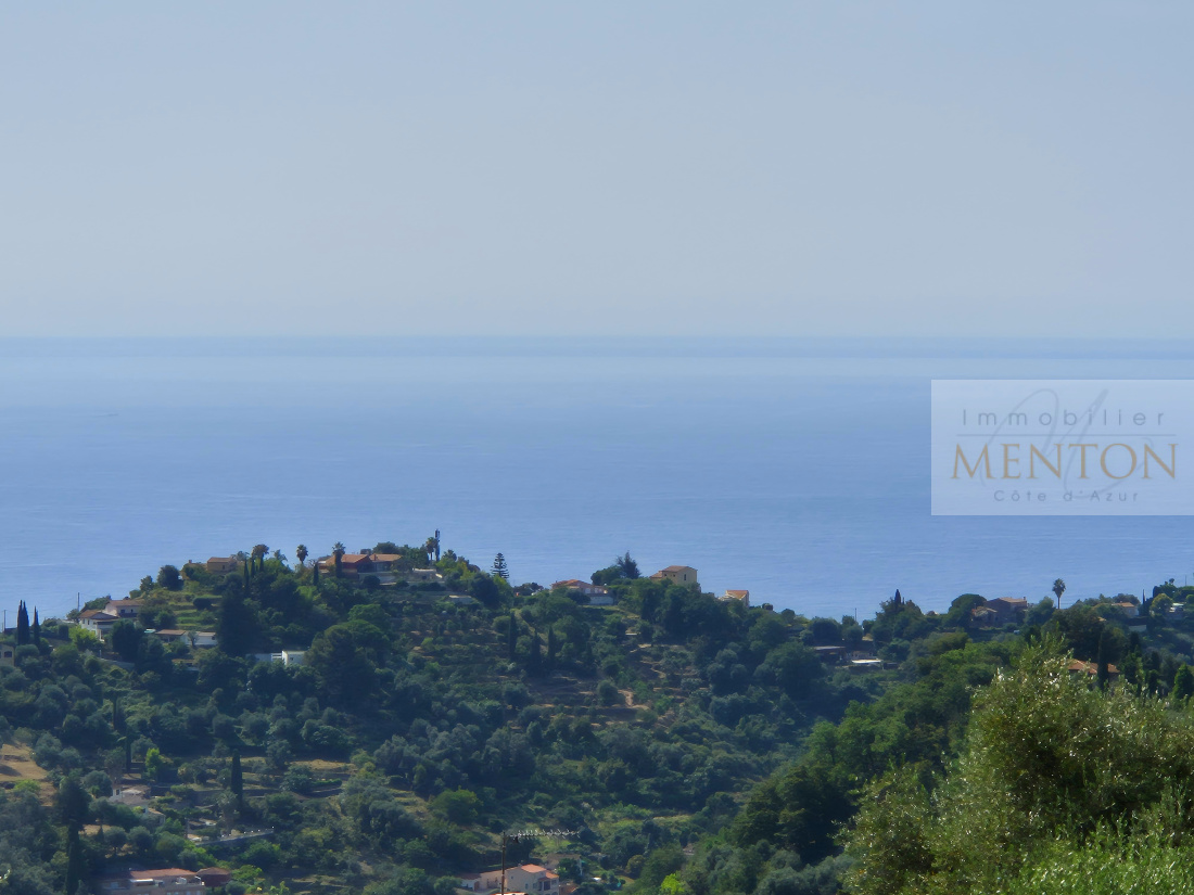 Menton,  Castellar route de castellar terrain plat  de 1530 m² piscine — photo 5