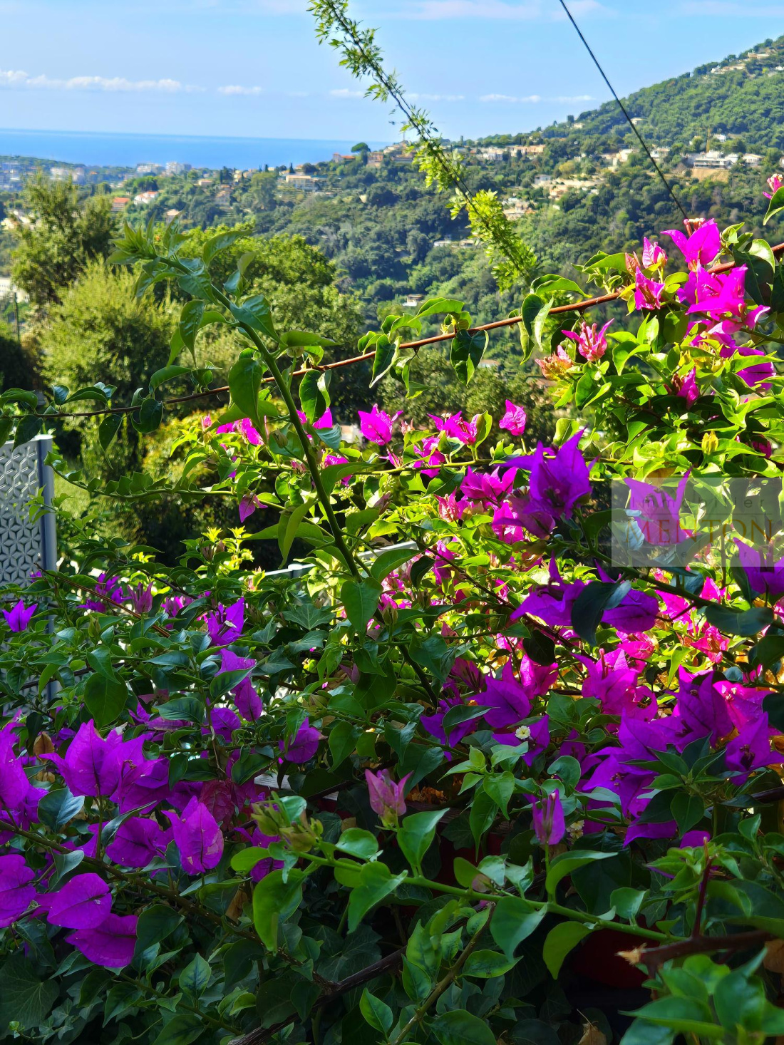 Menton annonciade, 4 pièces en appartement - villa de 127 m² et 88 m² de terrasse et 1000 m² de terrain — photo 2