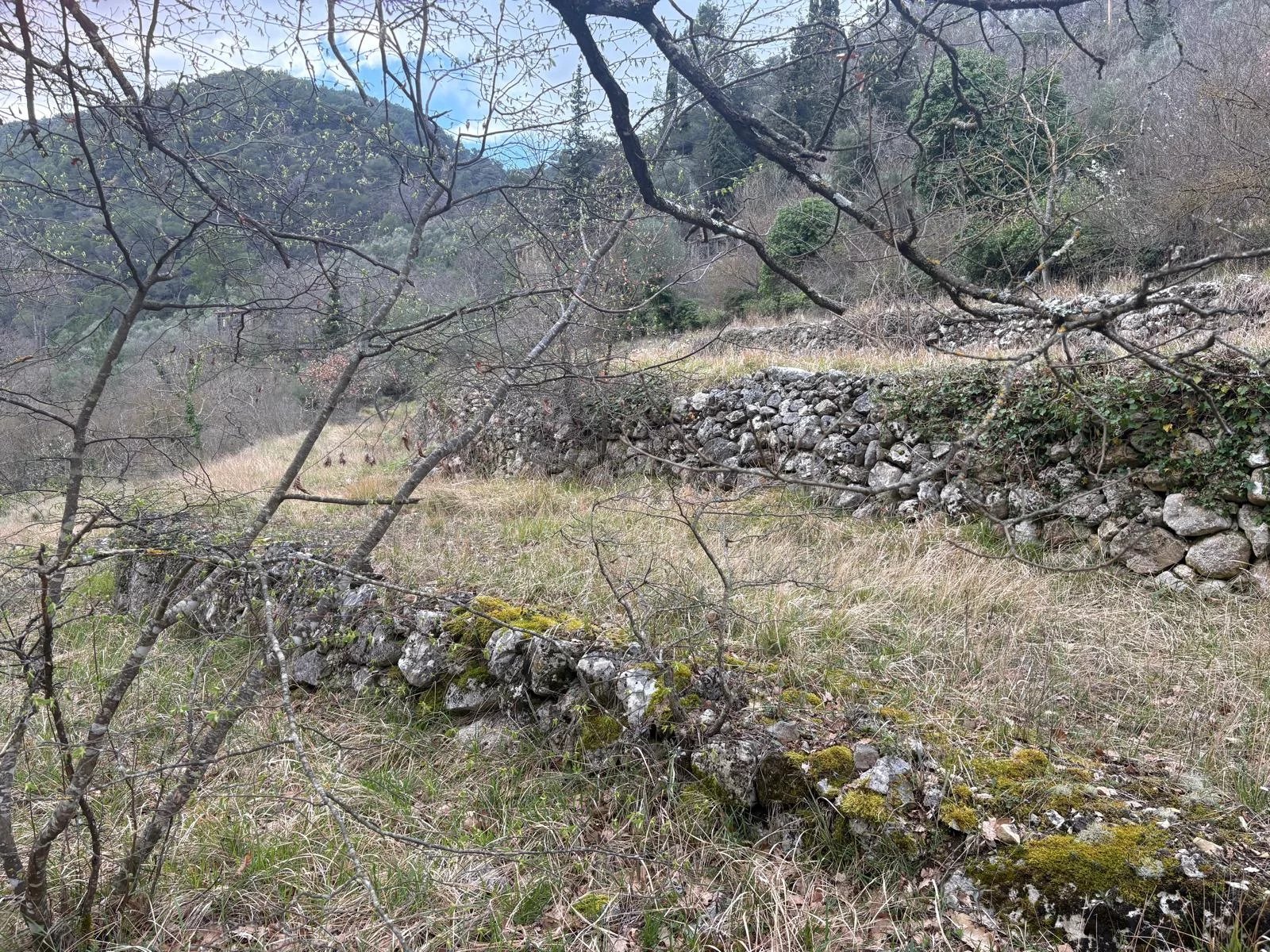 Maison à Peille, 41 m² sur 11000 m² de terrain — photo 3
