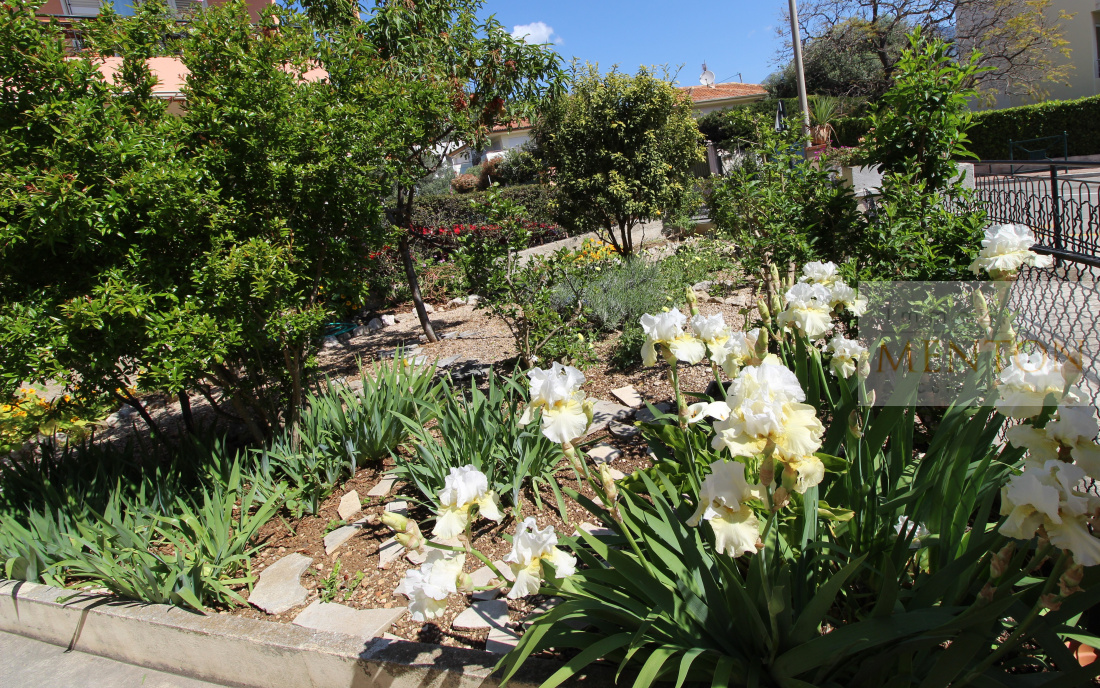 Roquebrune Cap Martin, sur le plateau, au calme, 2 pièces jardin 200 m2 terrasse grand garage et cave — Roquebrune-Cap-Martin