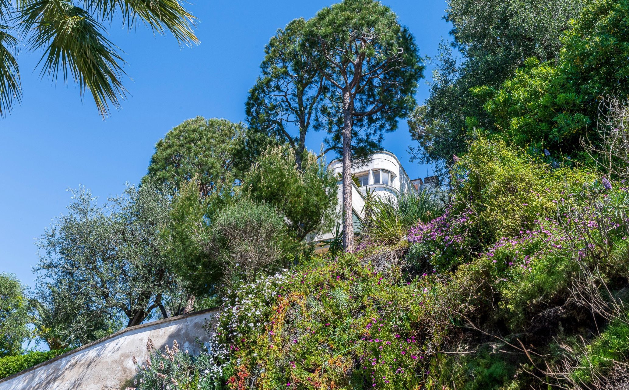 Vente Villa Saint-Jean-Cap-Ferrat 11 Pièces 594.55 m² — photo 5