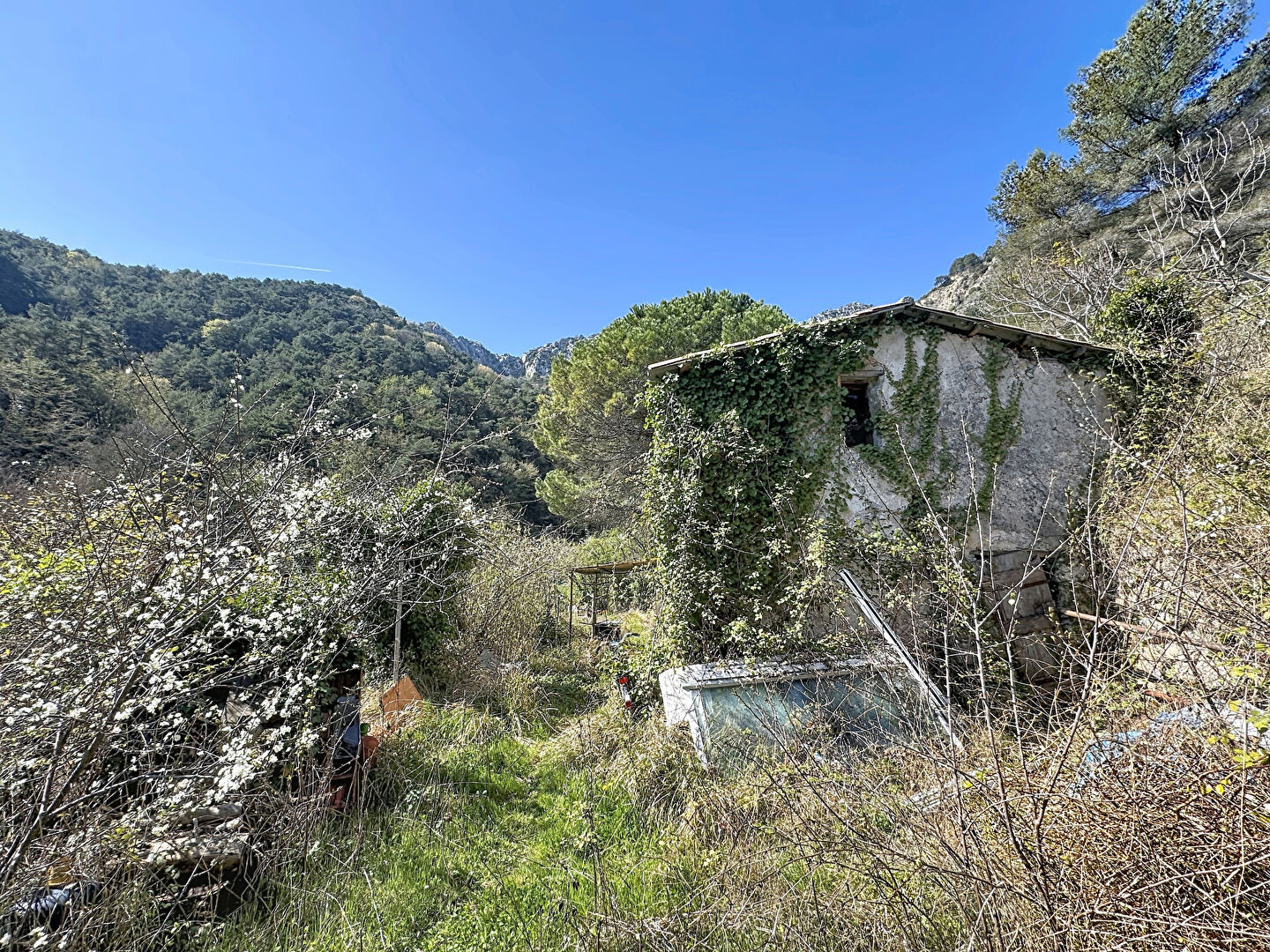 Maison à Sainte-Agnès, 46 m² sur 2930 m² de terrain — photo 5